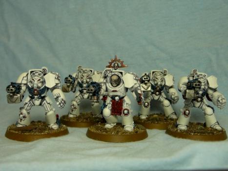 Marine Terminators by Toltoï