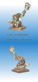 Orc Shaman by Rav wro