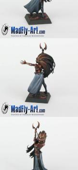 Dark Elf Sorceress by MadFlyArtStudio