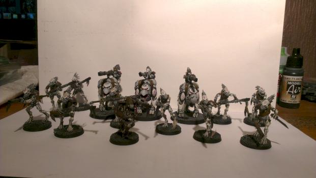 Tau Empire Kroot Squad by TheDarkApostle
