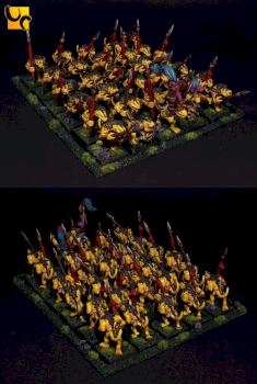 Saurus Warrior Regiment by UnlimitedColours