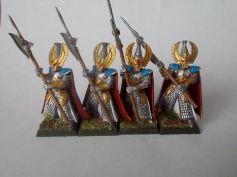 Phoenix guard by witddd