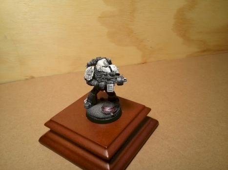 Ravenguard Veteran by Frostfang