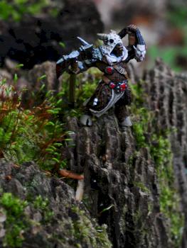 Bestigor by Gashlug
