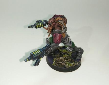 Krakot Renegade - merc by House