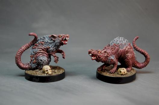 Barrow Rats by Afet bint Tuzani