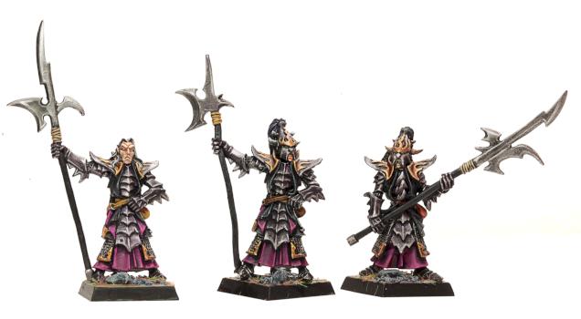 dark elf black guard by gilsby
