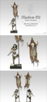 Shadow Elf Witch - Army Standard Bearer by khainder