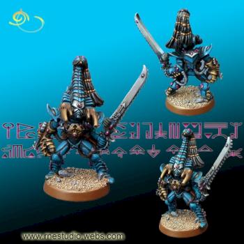 Señor Fénix Karandras - Eldar by RN Estudio