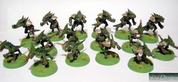 Lizardman Bloodbowl team. by E616