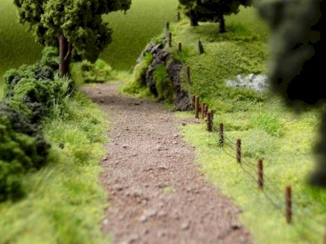 Farmland by Shawn Morris