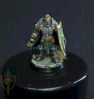 Paladin Hero by McCragge
