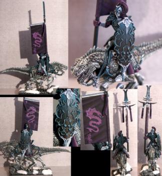 Dark elf Cold One Standart bearer by lukatme