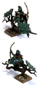 Wood Elf Scout Conversion by calinleafshade