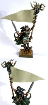 Wood Elf Battle Standard Bearer by calinleafshade