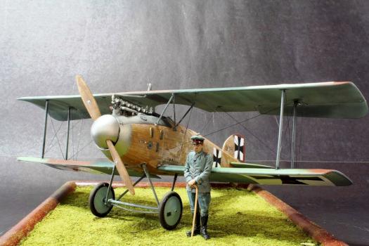 Albatros D.II by Vrykolakasbr