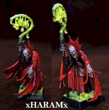 Vampire Counts Necromancer by xHaramx