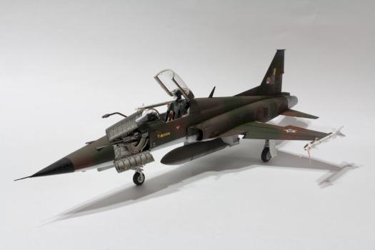F-5E Tiger II by Vrykolakasbr