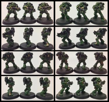 Salamanders by BFG