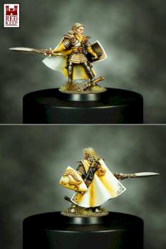 Selafyn - High Elf Hero by Hexer