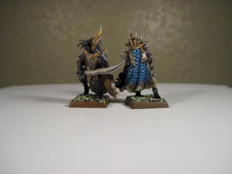 Dark Elf Corsairs by Sanper