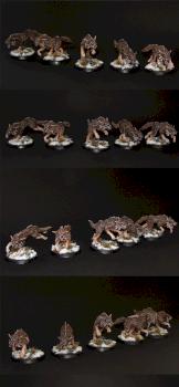 Space Wolves Fenrisian Wolf Pack by Sergey
