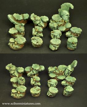Spartan Ruins round bases set by rene