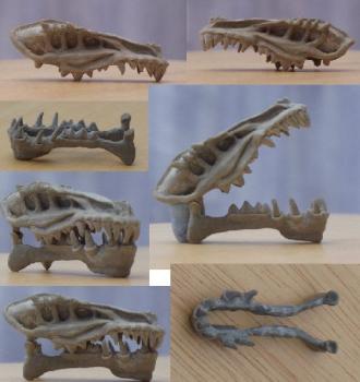 Dragon Skull by Caerban