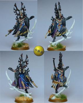 Eldar Bonesinger Ulthwe by nels0nmac