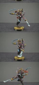 Dark Eldar Succubus by Ipaintyourstuff