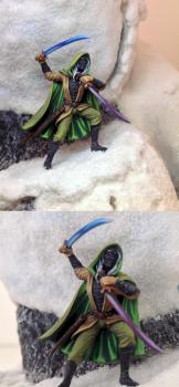 Male Dark Elf Warrior Dual Wield by D_Gran