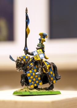 Tournee Knight, Bretonnia by Gopal