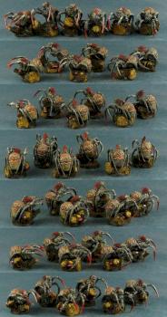 Kroot Spiderhounds by el piszczu
