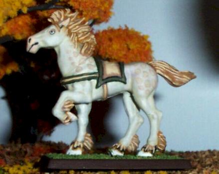 Horse Study #1 Updated by longbow
