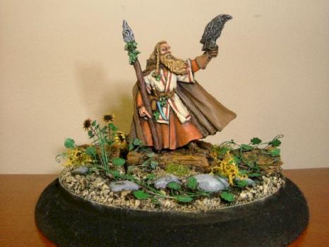 LOTR Radagast the Brown by theelfmaster