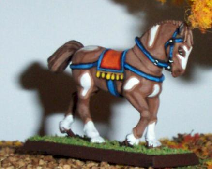 Horse Study #2 by longbow