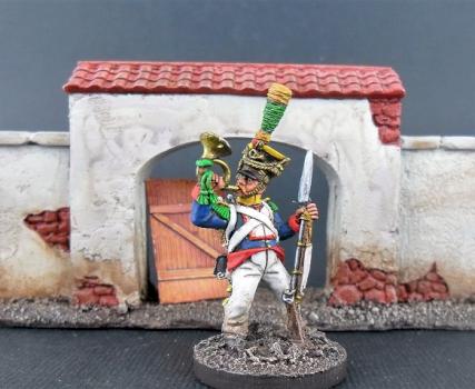 28mm Front Rank Napoleonic Polish by avalonindustries2040