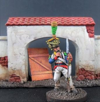 28mm Front Rank Napoleonic Polish by avalonindustries2040