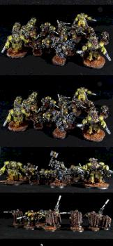 Imperial Fists by Mine Painting Studio