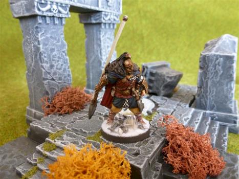 Guerrero 2 Clan Cuervo - Blood Rage by Dani Buera