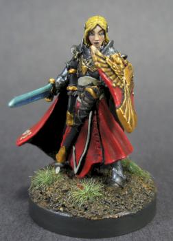 ALANDIN, ELF PALADIN by mikecarrero
