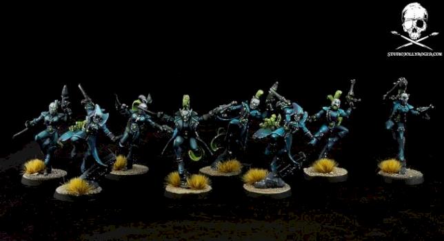 Harlequins by Jolly Roger Studio