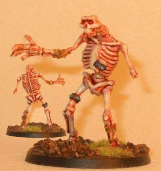 Battered Skeletal Troll - Chainmail by bogotter