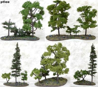 Instant Forest!  Just add water! by Temperance