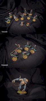 Dark Eldar Army (part 2) by Gruumsh