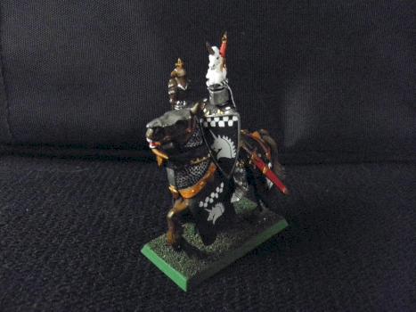 Bretonnian knight by birchleaf