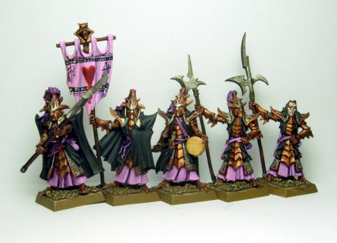 Dark Elf Black Guard Command by trueReed