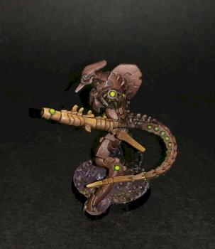 Skiavoros by House