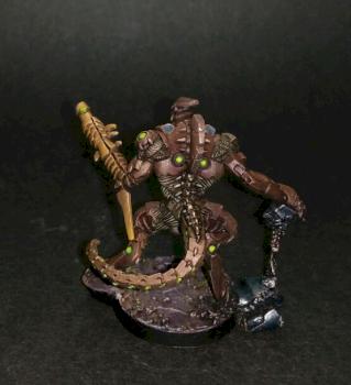 Skiavoros by House