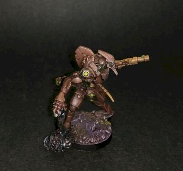 Skiavoros by House